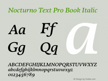 Nocturno Text Pro Book Italic Version 1.000 Font Sample