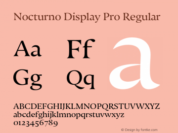 Nocturno Display Pro Regular Version 1.100 Font Sample