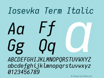 Iosevka Term Italic 1.9.2图片样张