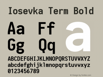 Iosevka Term Bold 1.9.2图片样张