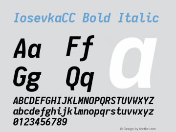 IosevkaCC Bold Italic 1.9.2 Font Sample