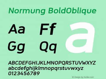 Normung BoldOblique Version 2.0.2图片样张
