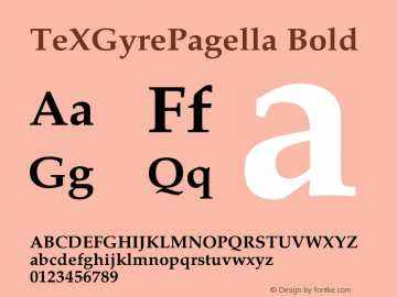TeXGyrePagella Bold Version 1.103;PS 1.103;hotconv 1.0.49;makeotf.lib2.0.14853 Font Sample