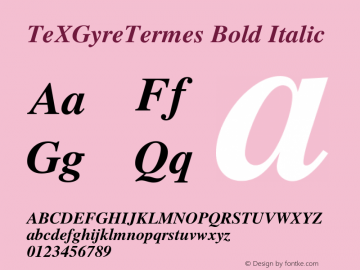 TeXGyreTermes Bold Italic Version 1.103;PS 1.103;hotconv 1.0.49;makeotf.lib2.0.14853图片样张