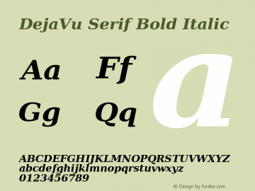 DejaVu Serif Bold Italic Version 2.29图片样张