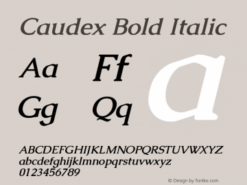 Caudex Bold Italic Version 1.01图片样张