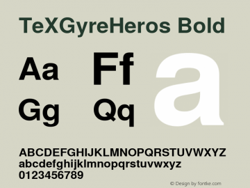 TeXGyreHeros Bold Version 1.103;PS 1.103;hotconv 1.0.49;makeotf.lib2.0.14853 Font Sample