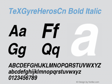 TeXGyreHerosCn Bold Italic Version 1.103;PS 1.103;hotconv 1.0.49;makeotf.lib2.0.14853图片样张