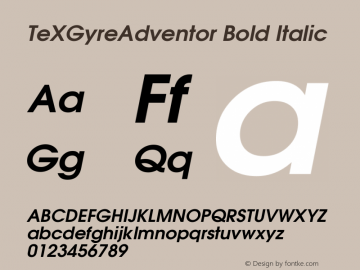TeXGyreAdventor Bold Italic Version 1.104;PS 1.104;hotconv 1.0.49;makeotf.lib2.0.14853 Font Sample