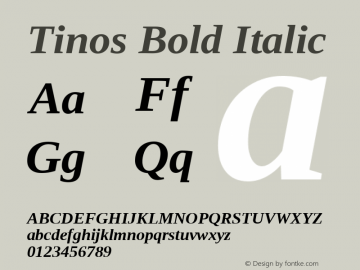 Tinos Bold Italic Version 1.23 Font Sample