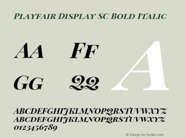 Playfair Display SC Bold Italic Version 1.002;PS 001.002;hotconv 1.0.70;makeotf.lib2.5.58329; ttfautohint (v0.93) -l 42 -r 42 -G 200 -x 14 -w 