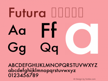 Futura 壓縮加黑體 11.0d2e1 Font Sample