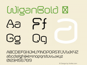 WiganBold ☞ Version 1.000;com.myfonts.font-fabric.wigan.bold.wfkit2.4bCp图片样张