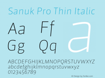 Sanuk Pro Thin Italic Version 7.504; 2010; Build 1027图片样张