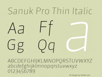 Sanuk Pro Thin Italic Version 7.504; 2016; Build 1022图片样张