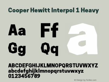 Cooper Hewitt Interpol 1 Heavy 1.000图片样张