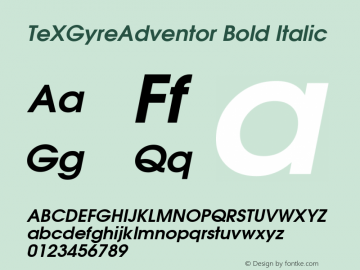 TeXGyreAdventor Bold Italic Version 1.104;PS 1.104;hotconv 1.0.49;makeotf.lib2.0.14853; ttfautohint (v1.5) Font Sample