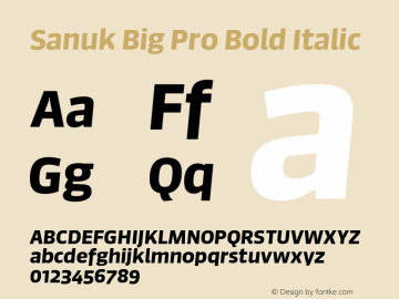 Sanuk Big Pro Bold Italic Version 7.504; 2016; Build 1023图片样张