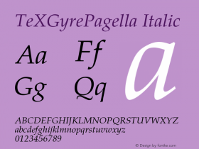 TeXGyrePagella Italic Version 2.004;PS 2.004;hotconv 1.0.49;makeotf.lib2.0.14853 Font Sample