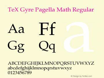 TeX Gyre Pagella Math Regular Version 1.632 Font Sample