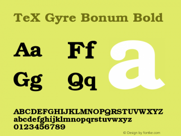 TeX Gyre Bonum Bold Version 2.004;PS 2.004;hotconv 1.0.49;makeotf.lib2.0.14853 Font Sample