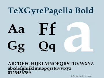 TeXGyrePagella Bold Version 2.004;PS 2.004;hotconv 1.0.49;makeotf.lib2.0.14853 Font Sample