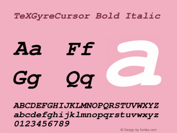 TeXGyreCursor Bold Italic Version 2.004;PS 2.004;hotconv 1.0.49;makeotf.lib2.0.14853 Font Sample