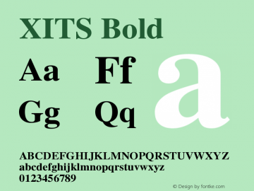 XITS Bold Version 1.107 Font Sample