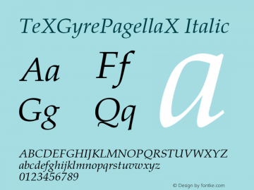 TeXGyrePagellaX Italic Version 2.004;PS 2.004;hotconv 1.0.49;makeotf.lib2.0.14853图片样张