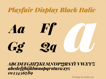 Playfair Display Black Italic Version 1.004;PS 001.004;hotconv 1.0.70;makeotf.lib2.5.58329 Font Sample