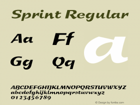 Sprint Regular 001.001图片样张