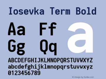 Iosevka Term Bold 1.9.3图片样张