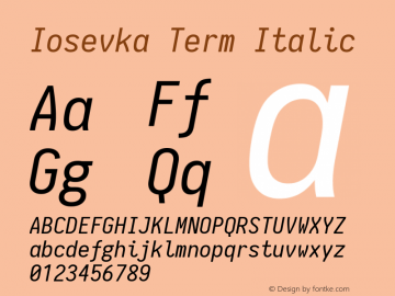 Iosevka Term Italic 1.9.3图片样张