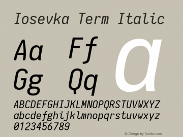 Iosevka Term Italic 1.9.3图片样张