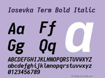 Iosevka Term Bold Italic 1.9.3图片样张