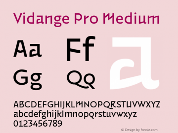 Vidange Pro Medium Version 1.100 Font Sample