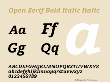 Open Serif Bold Italic Italic Version 1.000图片样张