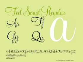 Feel Script Regular Version 1.000 Font Sample