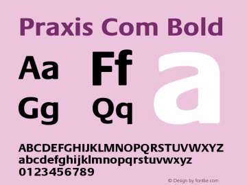 Praxis Com Bold Version 001.001 Font Sample