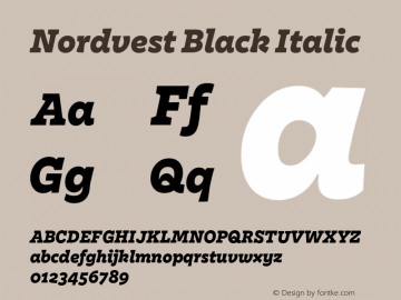 Nordvest Black Italic Version 1.000;PS 1.000;hotconv 1.0.86;makeotf.lib2.5.63406图片样张
