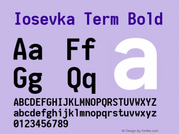 Iosevka Term Bold 1.9.4图片样张