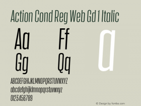 Action Cond Reg Web Gd 1 Italic Version 1.1 2015图片样张
