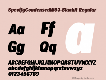 SpecifyCondensedW03-BlackIt Regular Version 1.00 Font Sample