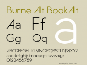 Burne Alt BookAlt Version 1.00 2013图片样张