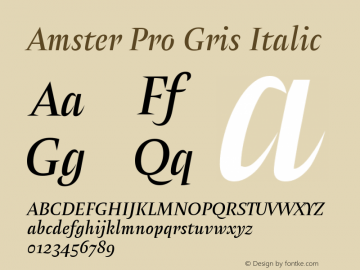 Amster Pro Gris Italic Version 1.000;PS 001.000;hotconv 1.0.70;makeotf.lib2.5.58329 Font Sample