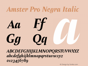 Amster Pro Negra Italic Version 1.000;PS 001.000;hotconv 1.0.70;makeotf.lib2.5.58329图片样张