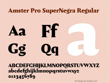 Amster Pro SuperNegra Regular Version 1.000;PS 001.000;hotconv 1.0.70;makeotf.lib2.5.58329图片样张