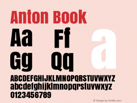 Anton Book Version 1.000图片样张