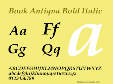 Book Antiqua Bold Italic Version 2.35图片样张