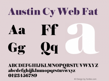Austin Cy Web Fat Version 1.1 2016图片样张